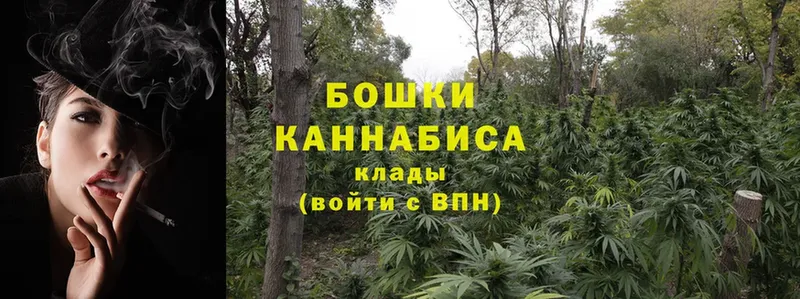 как найти наркотики  Зуевка  Каннабис конопля 